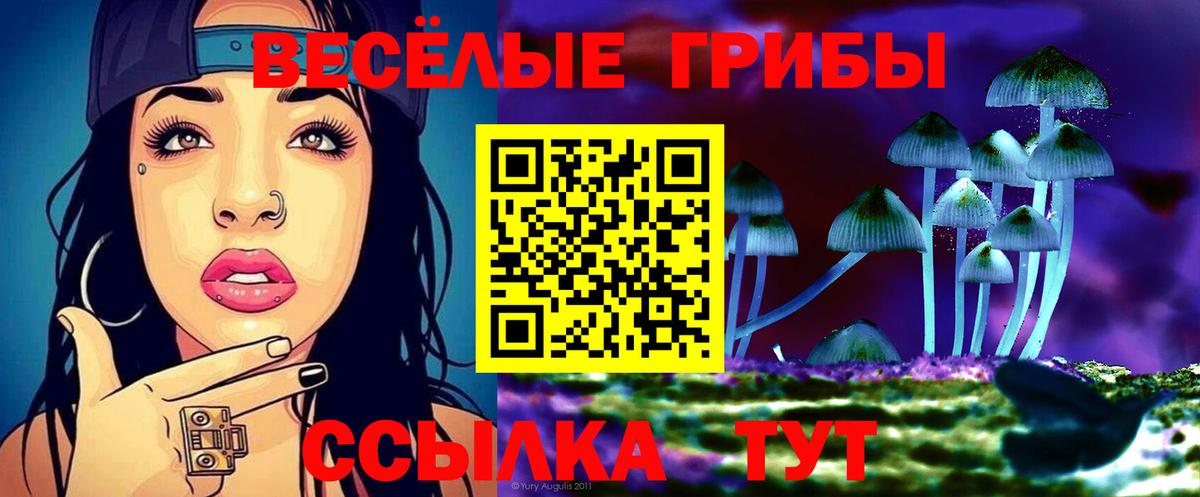 Галлюциногенные грибы Psilocybe Великий Новгород
