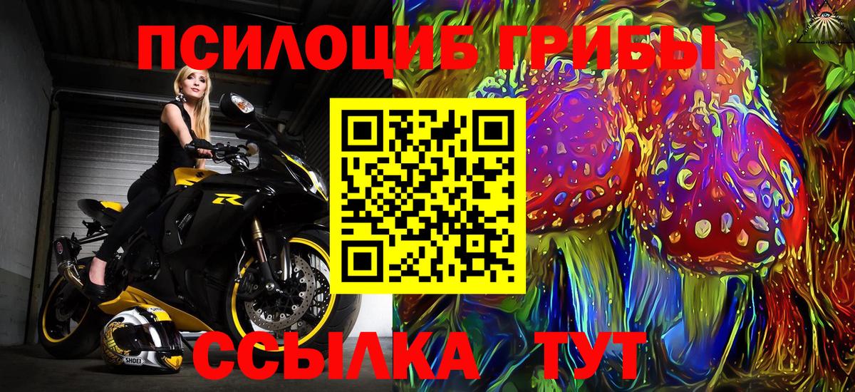 Великий Новгород  Галлюциногенные грибы Psilocybe  Псилоцибиновые грибы Magic Shrooms  Вход с VPN 